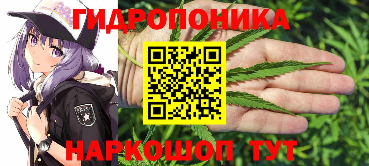 Бошки марихуана план  МАРИХУАНА ГИДРОПОН  Бошки Шишки Amnesia  Славянск-на-Кубани  Марихуана семена  Вход с VPN 